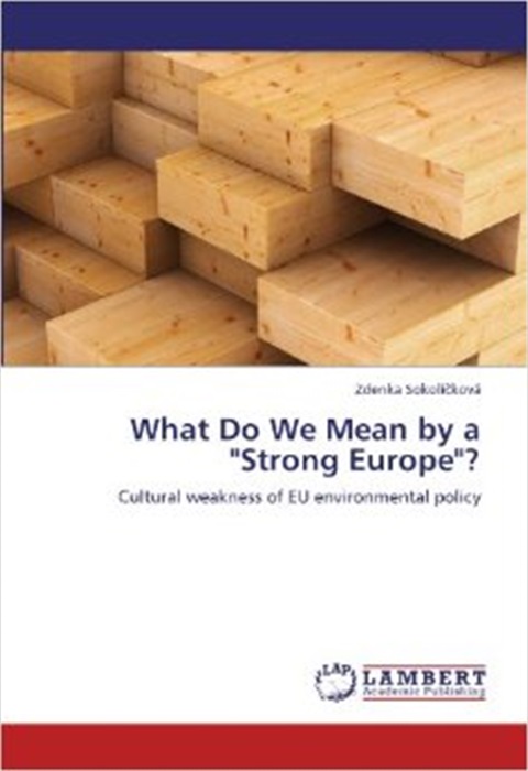 What Do We Mean by a ‚Strong Europe‘?