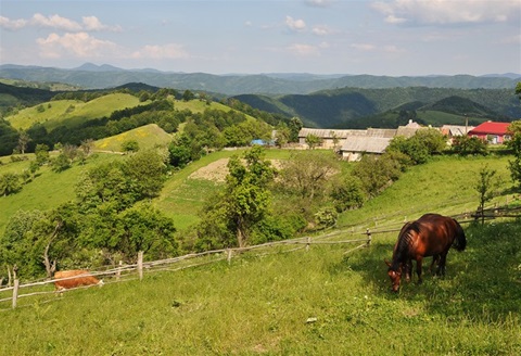 Za krajanskými Čechy do rumunského Banátu