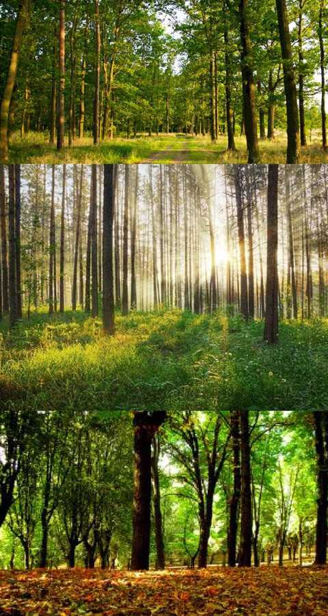 F. Burda doporučuje I