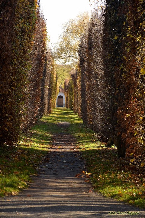 6. BROUMOVSKÉ DISKUSE