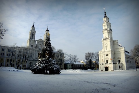 Studijní pobyt L. Maturové v Litvě