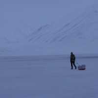 boREALIFE Blog Part 1