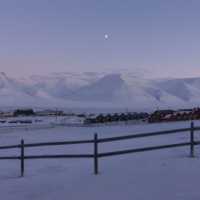 boREALIFE Blog Part 1