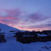 boREALIFE Blog Part 1