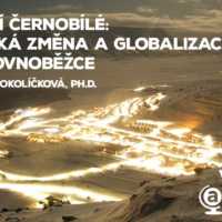 Ohlédnutí za rokem 2020