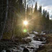 Ohlédnutí za rokem 2020