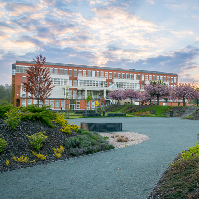 Introducing our Department