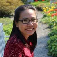 Looking back at 2020