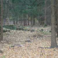 Fotografie z dřívějších exkurzí Katedry na Broumovsku