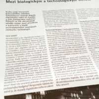 Looking back at 2020