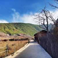 Terénní výzkum v jižní Číně