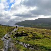 Closed for maintenance 2021