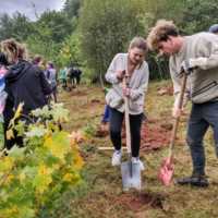 Workshop in Broumov: photogallery