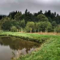 Workshop in Broumov: photogallery