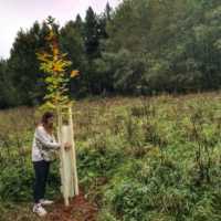 Workshop in Broumov: photogallery