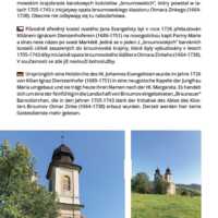 Roll-ups for the exhibition Borders and Dialogue in Moszna