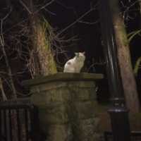 Workshop and meeting in Moszna 29th – 30th March 2022