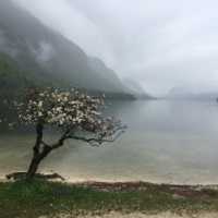 Fotky ze sympozia v Lublani