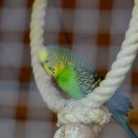 Fotogalerie z Neratova