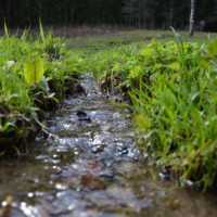 Fotogalerie z Neratova