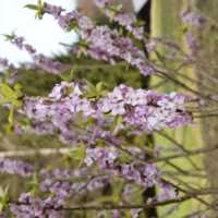 Fotogalerie z Neratova