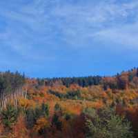 Výlet studentů na chatu Čihalka v Orlických horách