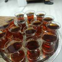 Transkulturní setkání v pražských Mozaikách (12. listopadu 2024)