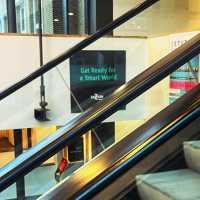 ERASMUS+ V NIZOZEMSKU očima našich studentek Dominiky Kociánové a Tiny Budišové