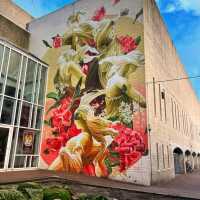 ERASMUS+ V NIZOZEMSKU očima našich studentek Dominiky Kociánové a Tiny Budišové