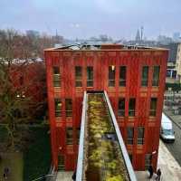 ERASMUS+ V NIZOZEMSKU očima našich studentek Dominiky Kociánové a Tiny Budišové