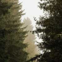 Podzimní exkurze v Orlických horách v malebné horské chatě Čihalka.