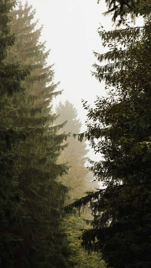 Podzimní exkurze v Orlických horách v malebné horské chatě Čihalka.