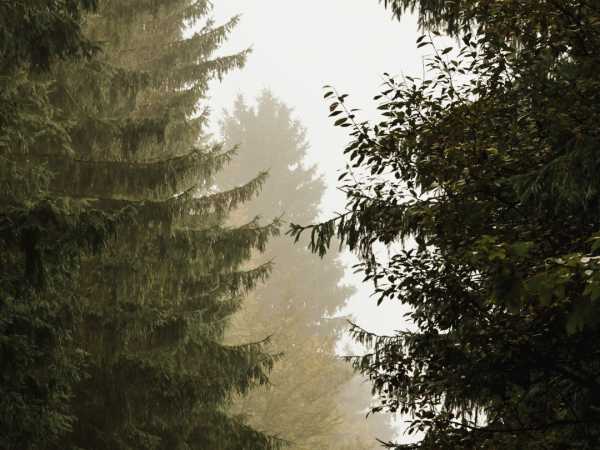 Podzimní exkurze v Orlických horách v malebné horské chatě Čihalka.