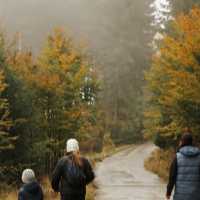 Podzimní exkurze v Orlických horách v malebné horské chatě Čihalka.