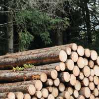 Podzimní exkurze v Orlických horách v malebné horské chatě Čihalka.