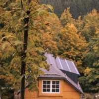 Podzimní exkurze v Orlických horách v malebné horské chatě Čihalka.