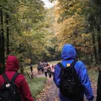 Podzimní exkurze v Orlických horách v malebné horské chatě Čihalka.