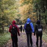 Podzimní exkurze v Orlických horách v malebné horské chatě Čihalka.