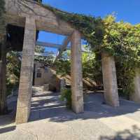 Chaos, vřelost a rozmanitost aneb první týden na Hebrejské univerzitě v Jeruzalémě