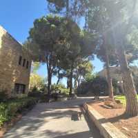 Chaos, vřelost a rozmanitost aneb první týden na Hebrejské univerzitě v Jeruzalémě