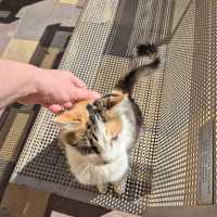 Chaos, vřelost a rozmanitost aneb první týden na Hebrejské univerzitě v Jeruzalémě