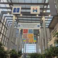 Pozdrav z Jeruzaléma od studentky Ludmily Hamplové