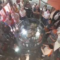 Transkulturní cesta – Jarní exkurze do Brna