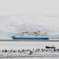 Zdenka Sokolíčková Contributed to Research on Tour Guides in Antarctica