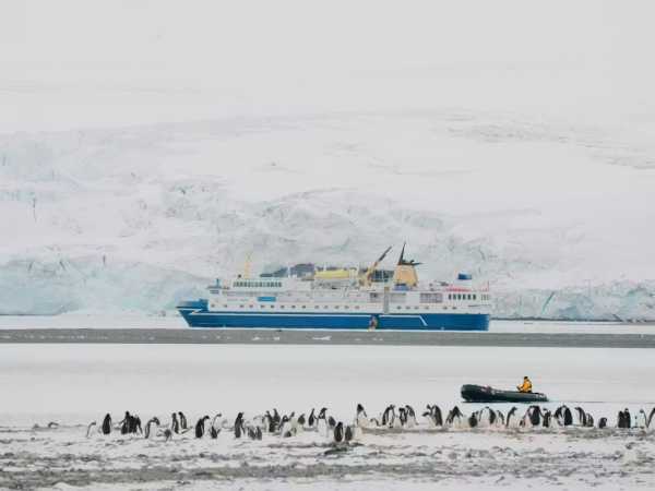 Zdenka Sokolíčková Contributed to Research on Tour Guides in Antarctica