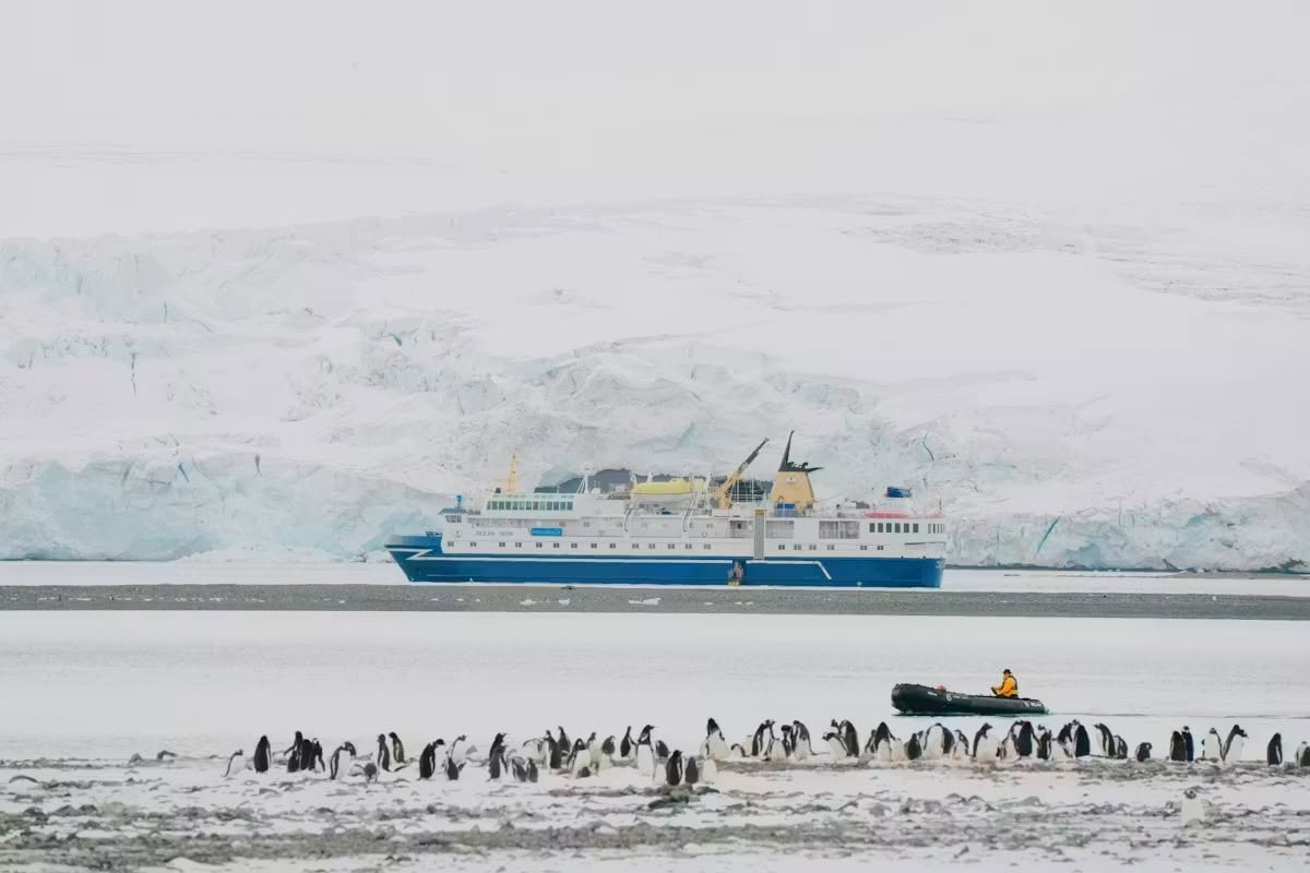 Zdenka Sokolíčková Contributed to Research on Tour Guides in Antarctica