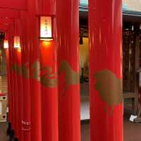 Pozdravy z Erasmu+ na Taiwanu a Japonska od Kristýna Štěpové